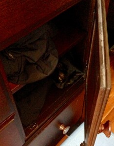 DiNozzo in his spot in the dresser