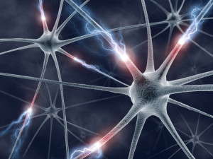 Flashforward Friday: Neurology and Neurons