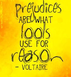 prejudices are what fools use for reason. -voltaire