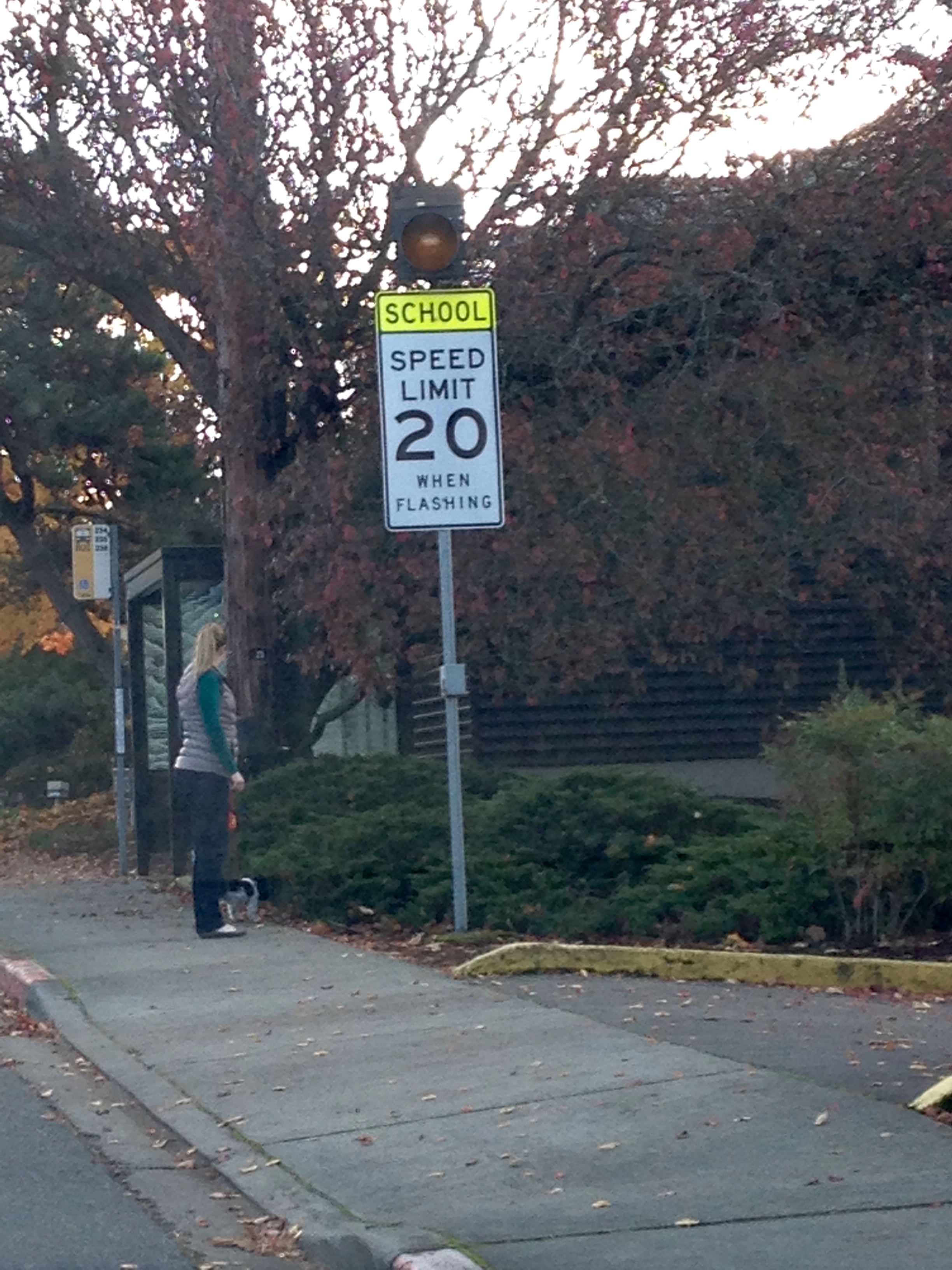 Begin School Zone