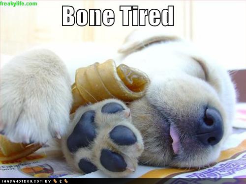 Bone Tired Norwescon Wrap-up