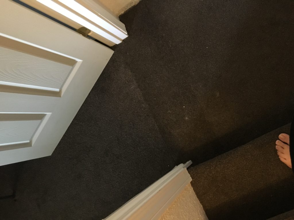 Carpet seams visible