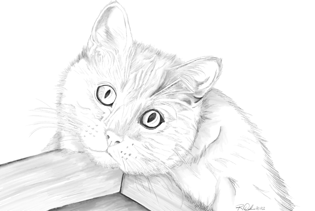 A black and white sketch of Raven Oak's cat, Malley, looking photogenic