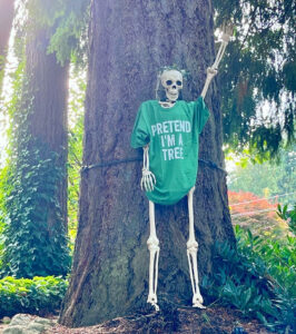Skeleton pretending to be a tree