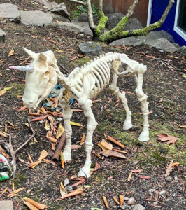 Skeletal Unicorn