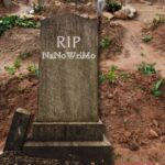 A picture of a gravestone that says RIP NaNoWriMo