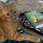 An orange cat named Riley sits on a blanket beside the book Cheddar Luck Next Time by Beth Cato.
