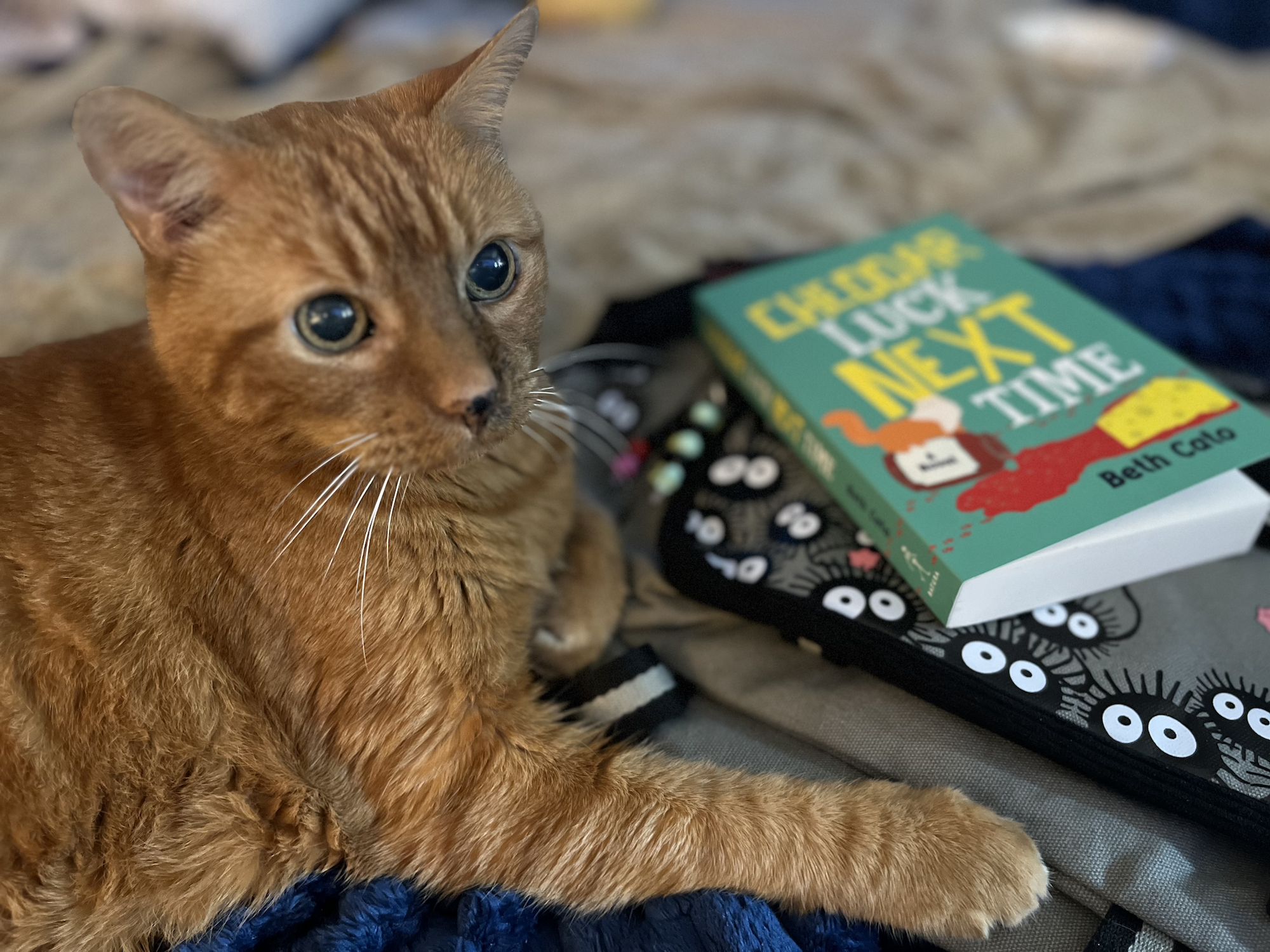 An orange cat named Riley sits on a blanket beside the book Cheddar Luck Next Time by Beth Cato.